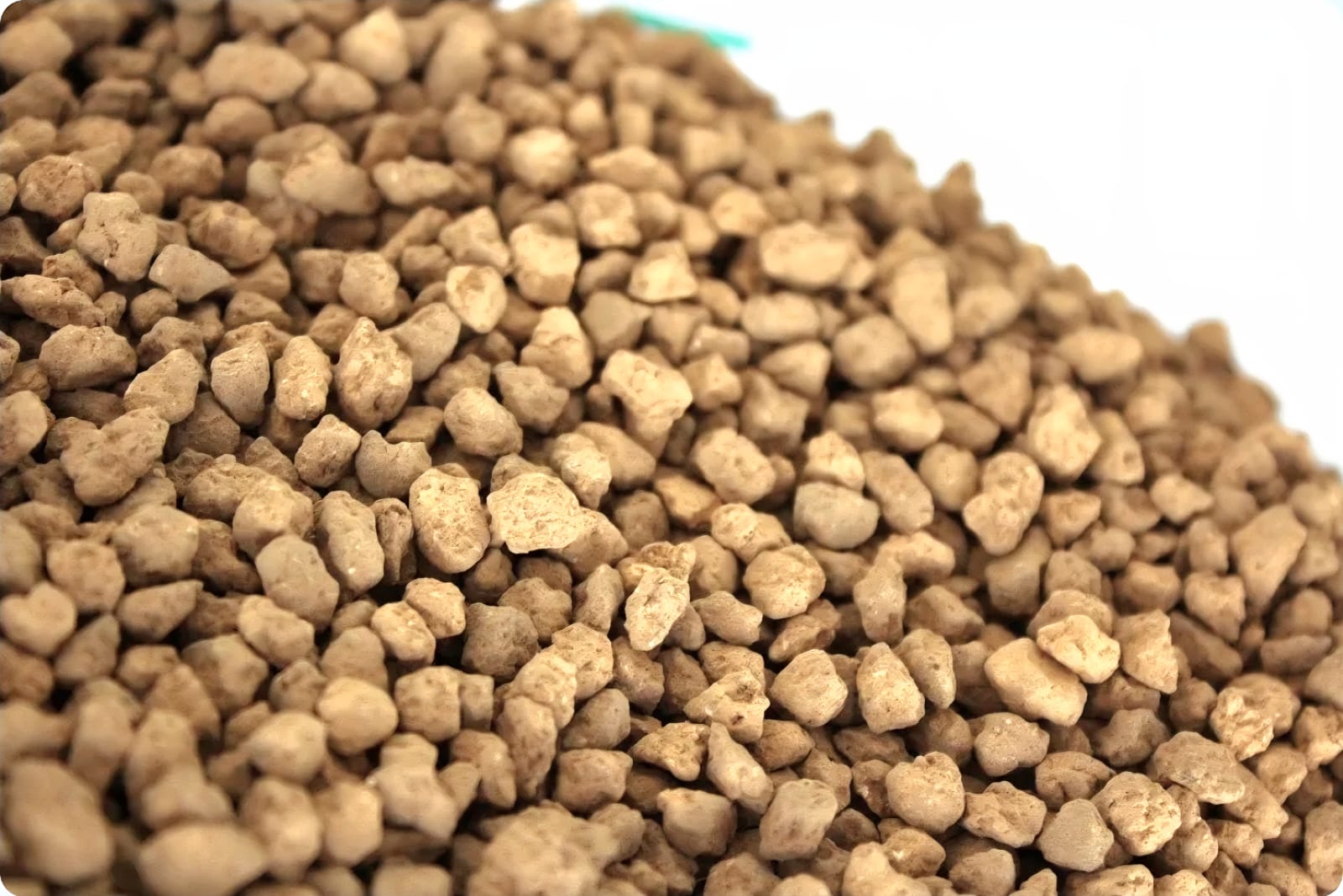 আকাদামা - Image 5