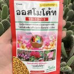 অসমোকট : ১৩-১৩-১৩ (থাইল্যান্ড) | Osmocote 13-13-13 (Thailand)