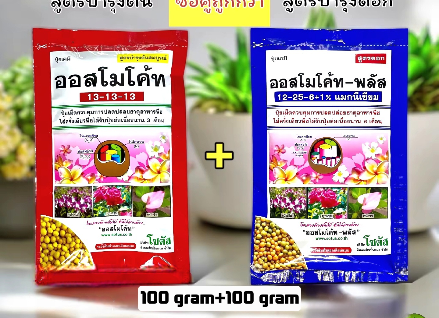 অস্মোকট (Osmocote) 13 13 13 & 12-25-6 +1% এক সাথে ২ প্যাকেট