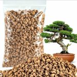 আকাদামা