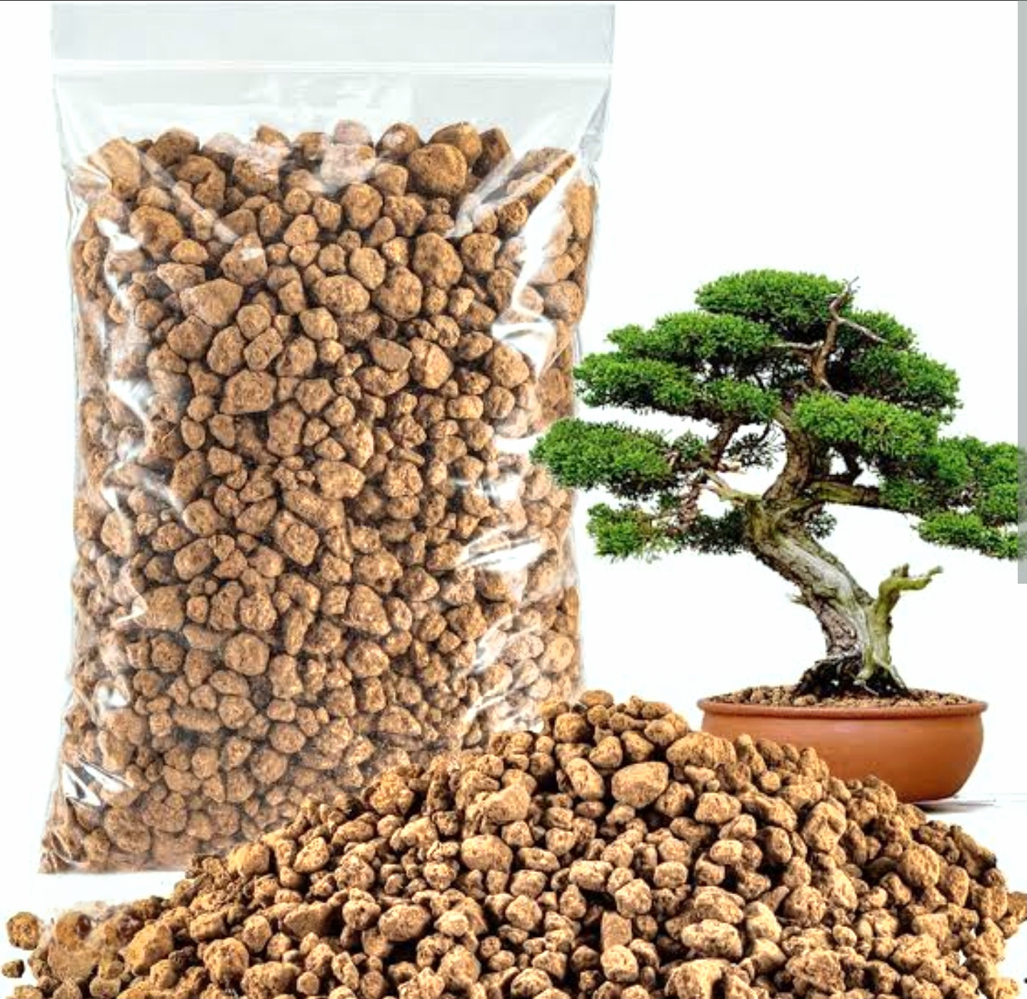 আকাদামা